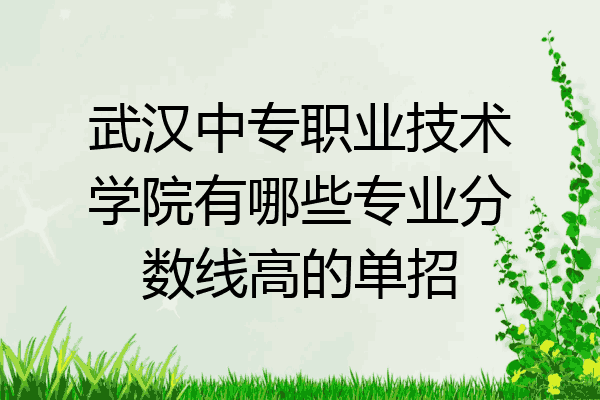 武汉中专职业技术学院有哪些专业分数线高的单招