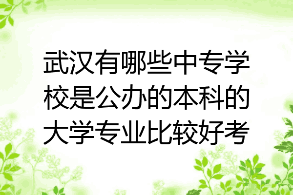 武汉有哪些中专学校是公办的本科的大学专业比较好考