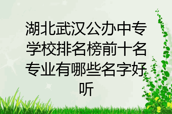 湖北武汉公办中专学校排名榜前十名专业有哪些名字好听