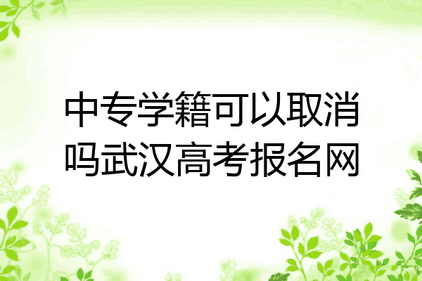 中专学籍可以取消吗武汉高考报名网