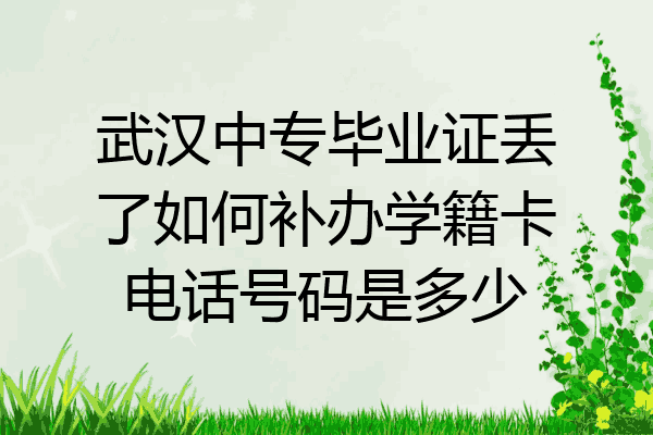 武汉中专毕业证丢了如何补办学籍卡电话号码是多少