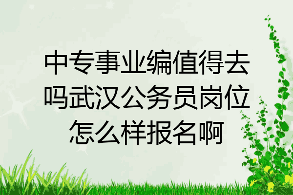 中专事业编值得去吗武汉公务员岗位怎么样报名啊