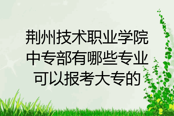 荆州技术职业学院中专部有哪些专业可以报考大专的