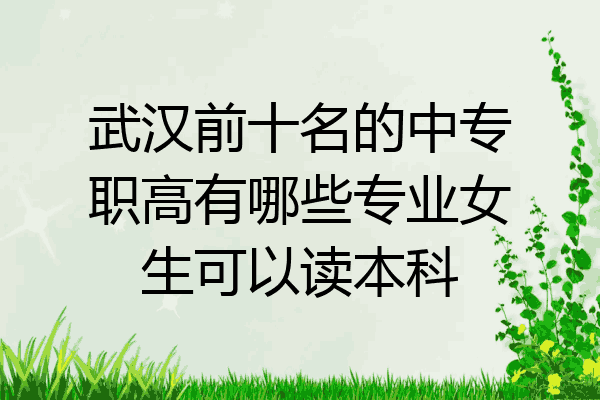 武汉前十名的中专职高有哪些专业女生可以读本科