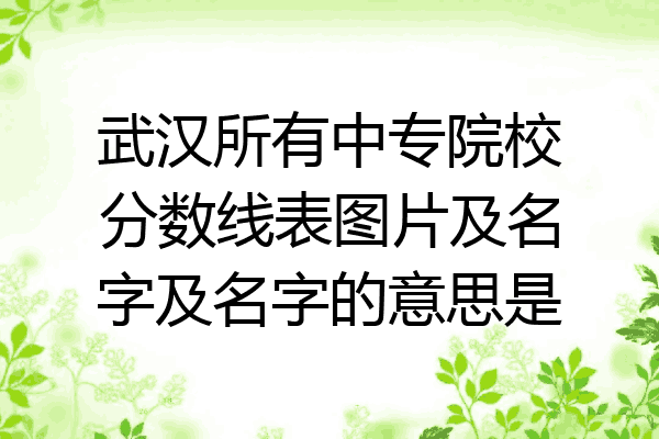 武汉所有中专院校分数线表图片及名字及名字的意思是