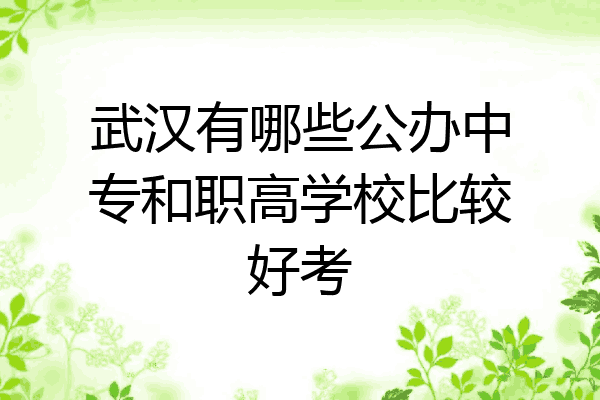 武汉有哪些公办中专和职高学校比较好考