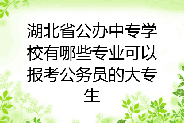 湖北省公办中专学校有哪些专业可以报考公务员的大专生