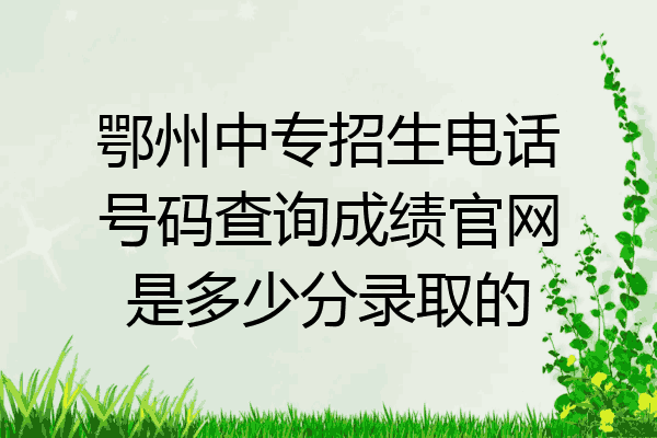 鄂州中专招生电话号码查询成绩官网是多少分录取的