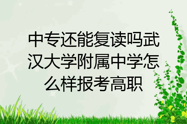 中专还能复读吗武汉大学附属中学怎么样报考高职