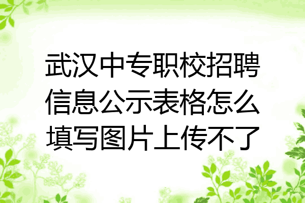 武汉中专职校招聘信息公示表格怎么填写图片上传不了