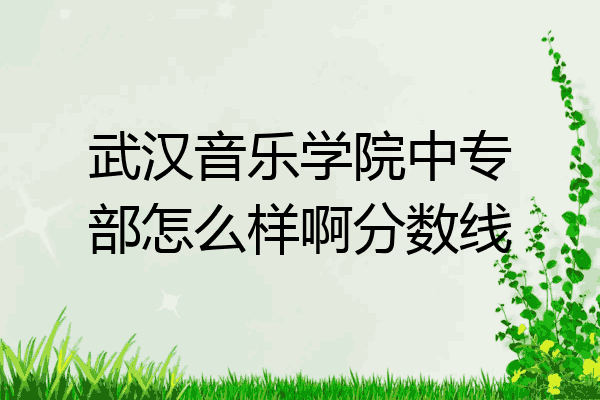 武汉音乐学院中专部怎么样啊分数线