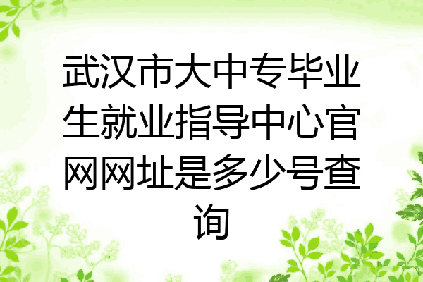 武汉市大中专毕业生就业指导中心官网网址是多少号查询