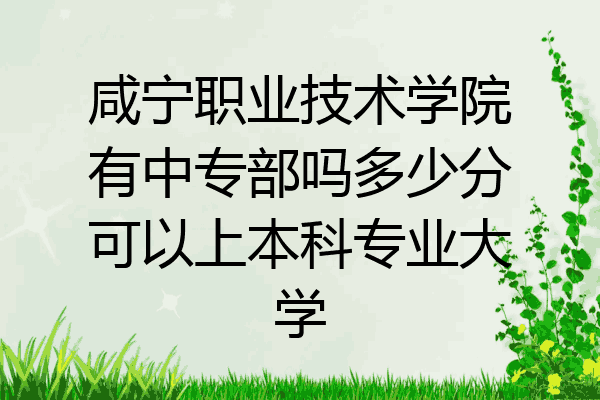 咸宁职业技术学院有中专部吗多少分可以上本科专业大学