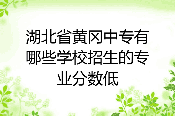 湖北省黄冈中专有哪些学校招生的专业分数低