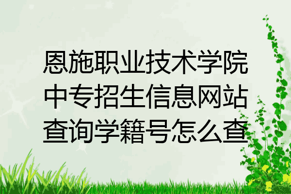 恩施职业技术学院中专招生信息网站查询学籍号怎么查