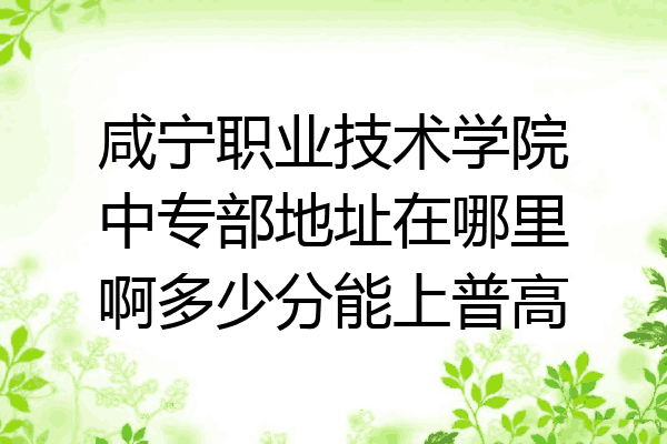 咸宁职业技术学院中专部地址在哪里啊多少分能上普高
