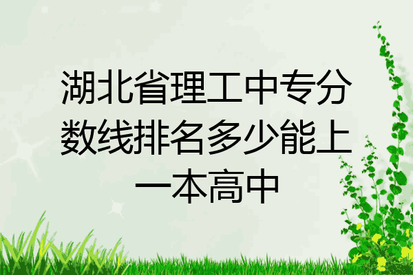 湖北省理工中专分数线排名多少能上一本高中