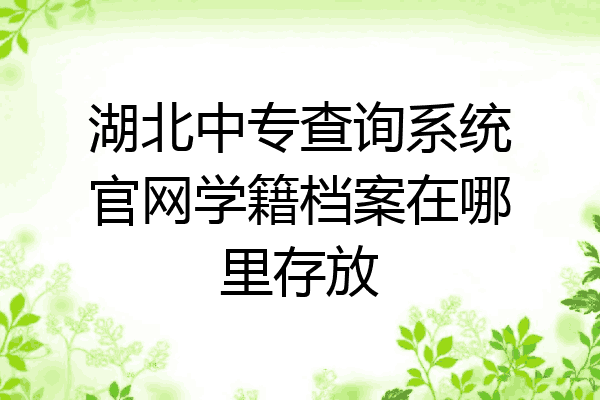 湖北中专查询系统官网学籍档案在哪里存放