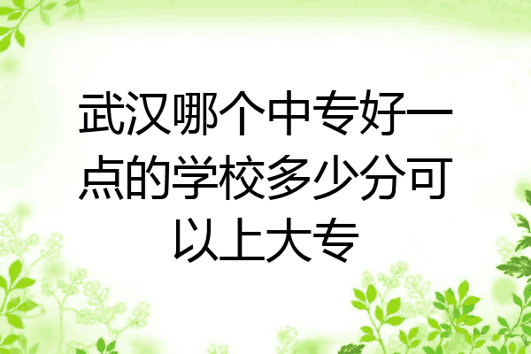 武汉哪个中专好一点的学校多少分可以上大专