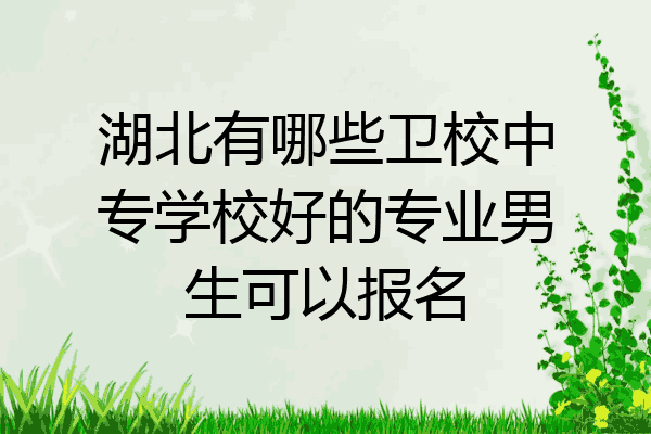 湖北有哪些卫校中专学校好的专业男生可以报名