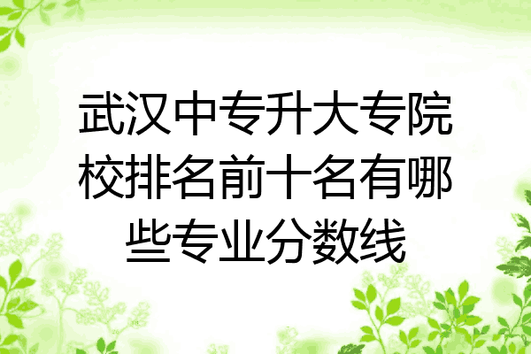武汉中专升大专院校排名前十名有哪些专业分数线