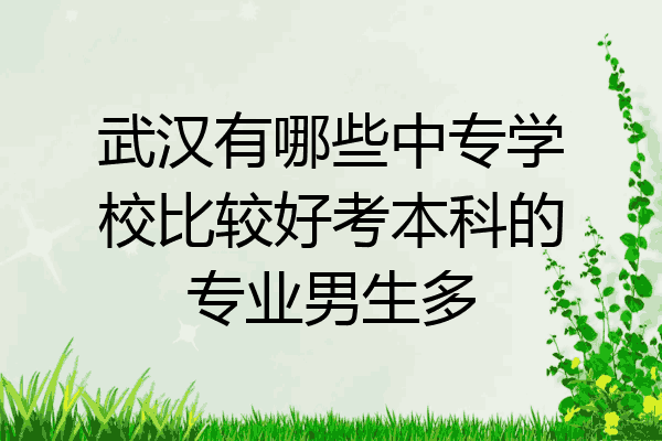武汉有哪些中专学校比较好考本科的专业男生多