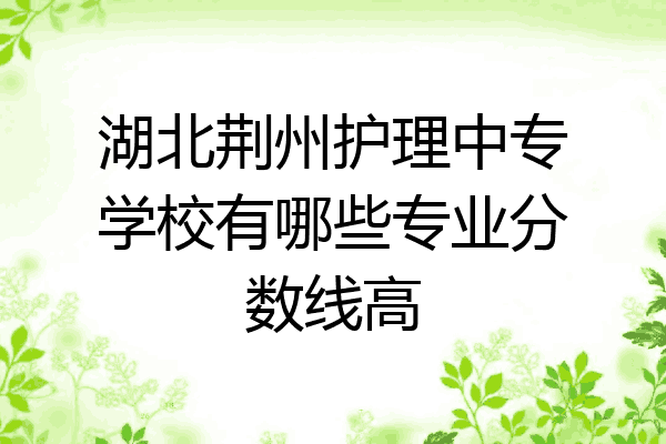 湖北荆州护理中专学校有哪些专业分数线高