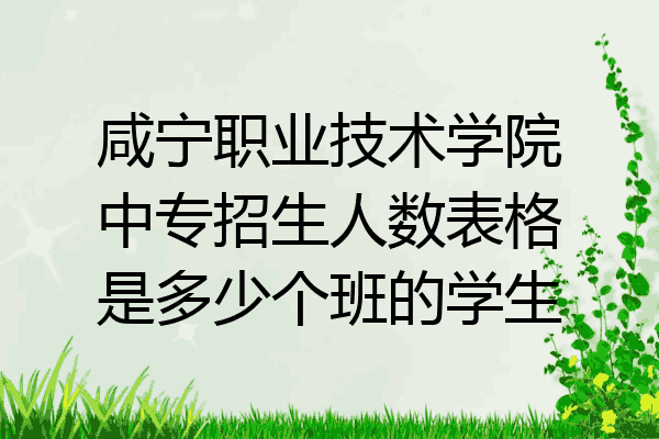 咸宁职业技术学院中专招生人数表格是多少个班的学生