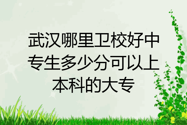 武汉哪里卫校好中专生多少分可以上本科的大专