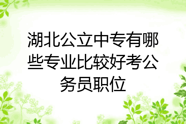 湖北公立中专有哪些专业比较好考公务员职位