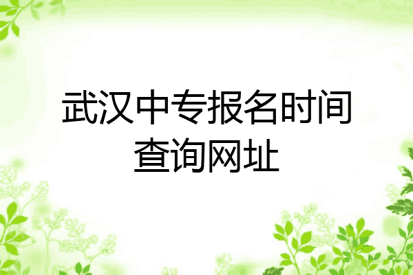 武汉中专报名时间查询网址