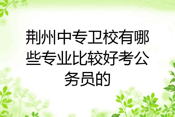 荆州中专卫校有哪些专业比较好考公务员的