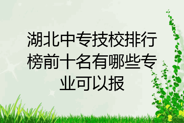 湖北中专技校排行榜前十名有哪些专业可以报