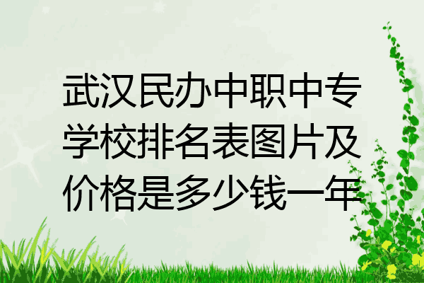 武汉民办中职中专学校排名表图片及价格是多少钱一年