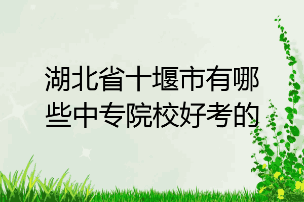 湖北省十堰市有哪些中专院校好考的