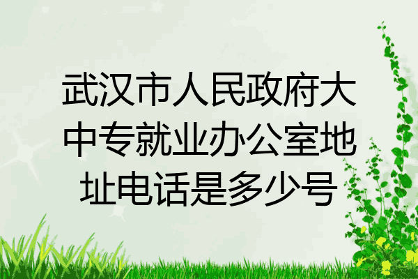 武汉市人民政府大中专就业办公室地址电话是多少号