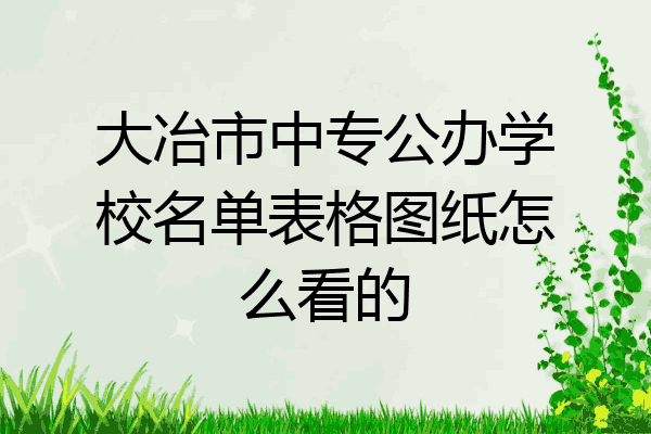 大冶市中专公办学校名单表格图纸怎么看的