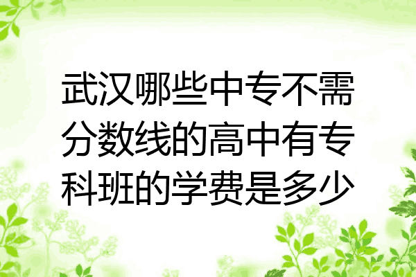 武汉哪些中专不需分数线的高中有专科班的学费是多少