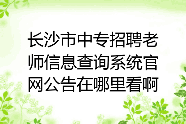 长沙市中专招聘老师信息查询系统官网公告在哪里看啊