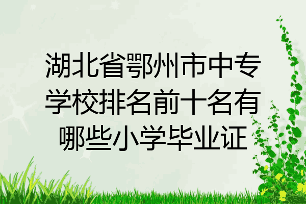湖北省鄂州市中专学校排名前十名有哪些小学毕业证