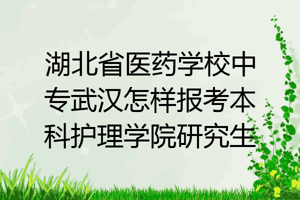 湖北省医药学校中专武汉怎样报考本科护理学院研究生