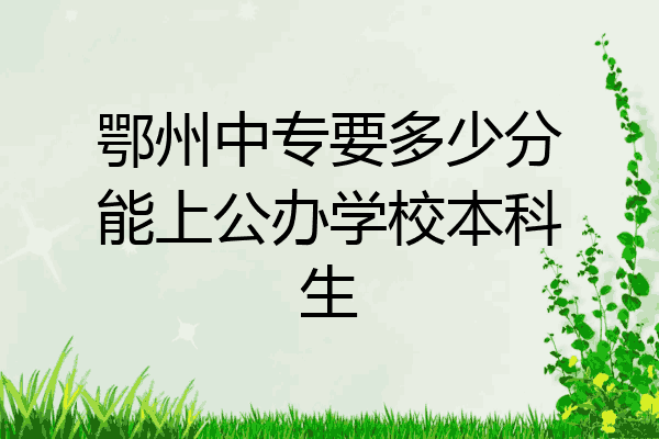 鄂州中专要多少分能上公办学校本科生