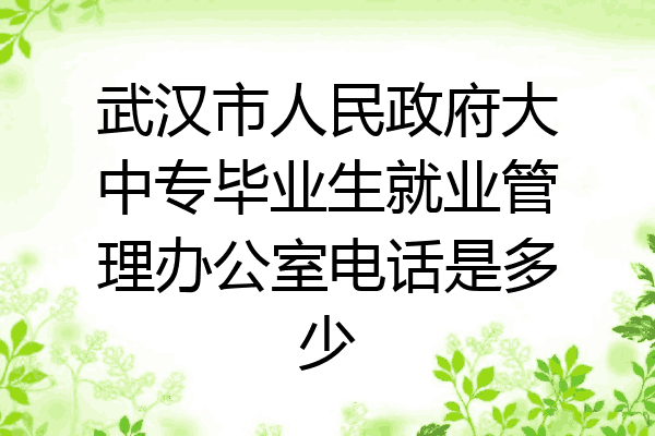 武汉市人民政府大中专毕业生就业管理办公室电话是多少