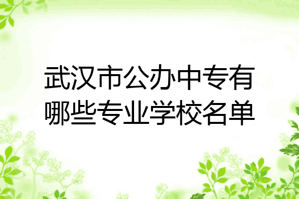 武汉市公办中专有哪些专业学校名单