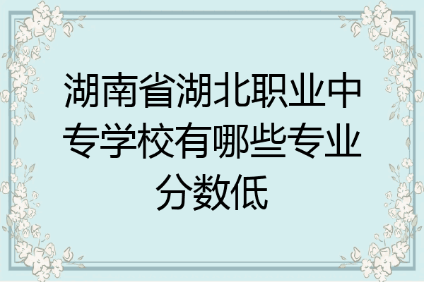 湖南省湖北职业中专学校有哪些专业分数低
