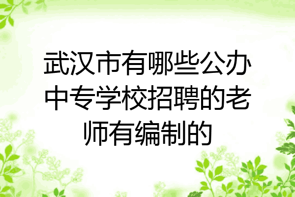 武汉市有哪些公办中专学校招聘的老师有编制的
