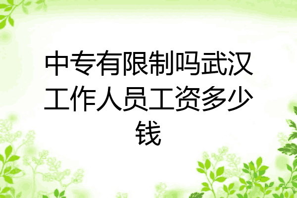 中专有限制吗武汉工作人员工资多少钱