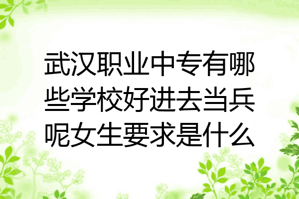 武汉职业中专有哪些学校好进去当兵呢女生要求是什么