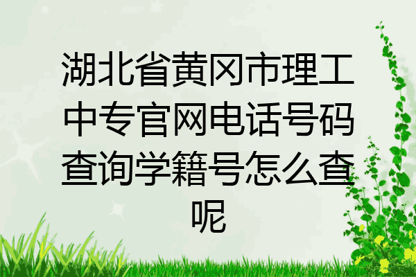湖北省黄冈市理工中专官网电话号码查询学籍号怎么查呢