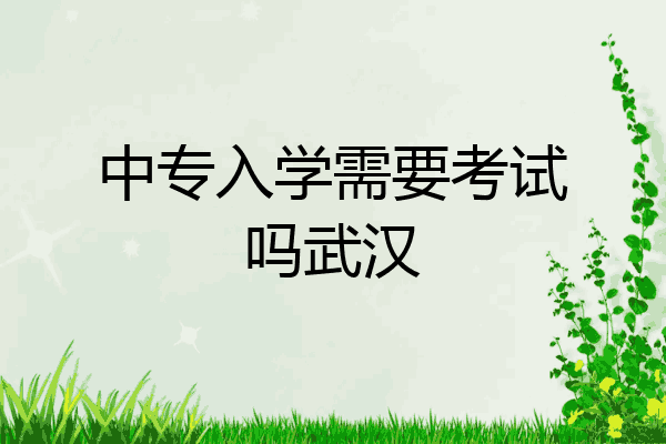 中专入学需要考试吗武汉